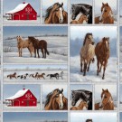Horse Whisperer, 6263 thumbnail