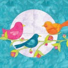 GO! Birds, 55324 thumbnail