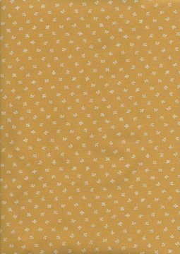 Regency Sussex, 5551