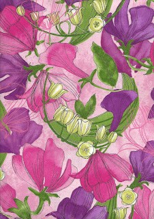 Sweet Pea Lily, 5484