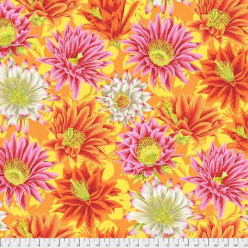 Kaffe Fassett, Classics, Cactus Flower- Yellow, 7174