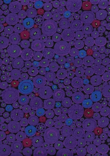 Kaffe Fassett, 6061, purple