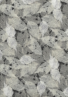 Foliage, 6272