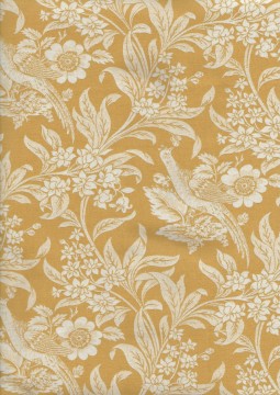 Regency Sussex, 5552