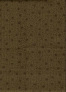 My favorite collection, 1685, 50 cm