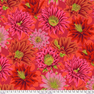 Cactus Flower, Red,  7182
