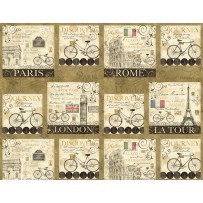 A Ticket in hand, 4298