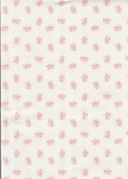 Whitewashed cottage, 4021