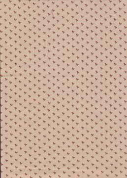 Songbird Gathering, 4554